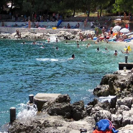 Complex Jelena Πανσιόν