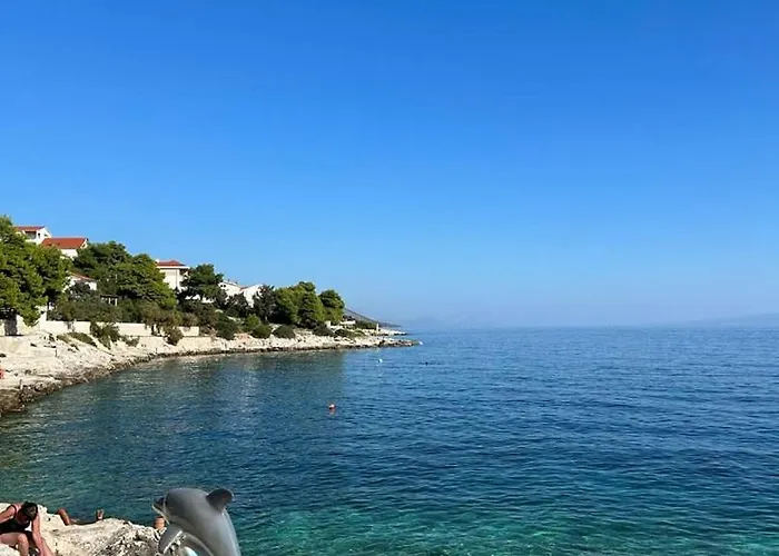 Complex Jelena Πανσιόν 3*