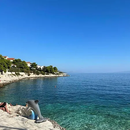 Complex Jelena Guest house 3*